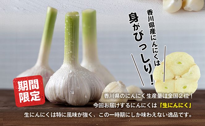 ご家庭用生にんにく 約10kg 野菜 野菜セット ニンニク 