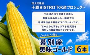 2026年発送先行予約 北海道 十勝 幕別産 とうもろこし 恵味ゴールド 6本「じゅんかん育ち」北王農林［十勝BISTRO下水道プロジェクト］【 とうもろこし とうきび コーン 野菜 フルーツ 甘い 】