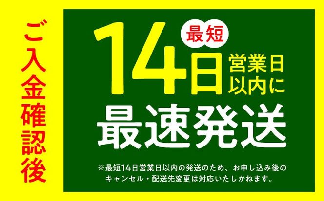 【令和7年度産】無洗米 夢つくし 30kg 精米 有限会社ファインリョーコク/築上町[ABCO042]