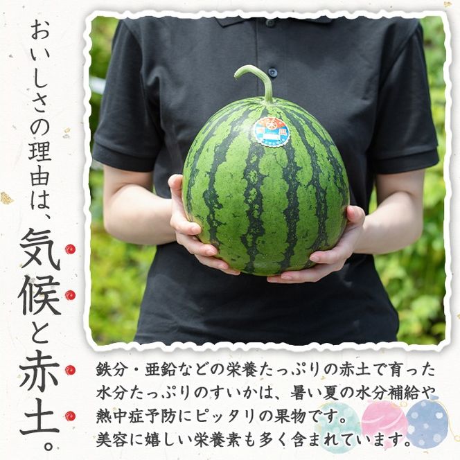 ＜先行予約受付中！2026年7月上旬以降順次発送予定＞幻のブランド「きさきのスイカ」(1玉・約6kg) スイカ すいか 西瓜 果物 フルーツ 野菜 旬 夏 おやつ 水分補給 熱中症対策 木佐木野 【竹ん子山】akn097-08