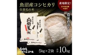 【通年受付】≪令和8年産≫ 農家直送！魚沼産コシヒカリ「白羽毛の米」精米 (5kg×2袋) 10kg お米 白米 ご飯