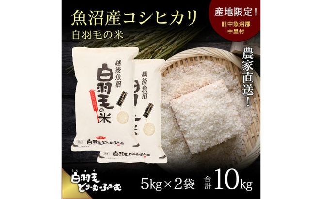 【通年受付】≪令和8年産≫ 農家直送！魚沼産コシヒカリ「白羽毛の米」精米 (5kg×2袋) 10kg お米 白米 ご飯