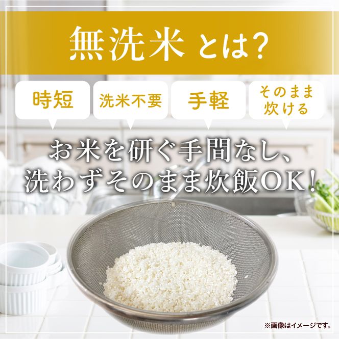 令和7年産 茨城県産 無洗米コシヒカリ10kg（5kg×2袋）【お米 米 コメ こめ こしひかり 無洗米 北茨城市 茨城県】(AL257)