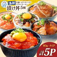 漬け丼5種セット 真鯛・ブリ・カンパチ・マグロ・サーモン 1食80g×計5P タイ 鰤 鮪 海鮮丼 刺身 海鮮 魚介 魚 お茶漬け 炊き込みご飯 惣菜 おかず 冷凍 配送