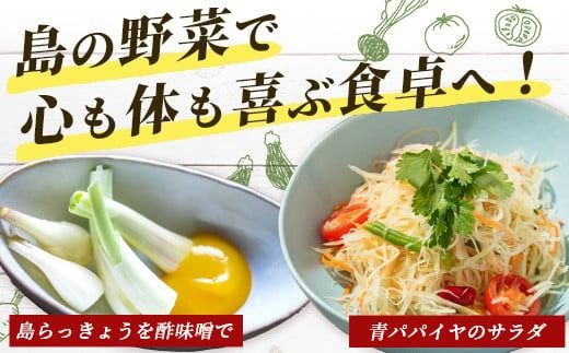 石垣島産 野菜 BOX【３回定期便】（６~８種類）季節ごとに野菜パワーをあなたに！！｜沖縄 石垣島 直送 旬 新鮮 島野菜 野菜セット 野菜 やさい 季節のお野菜 旬の野菜セット 詰め合わせ 定期便 野菜定期便 CK-2 