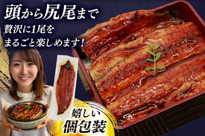 しの 鰻蒲焼き950g うなぎ 蒲焼 特大サイズ 肉厚 約 1.5kg 4尾 タレ・山椒付 茶葉