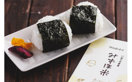 特別栽培みずほ米 銀河のしずく 白米 10kg 【1755】