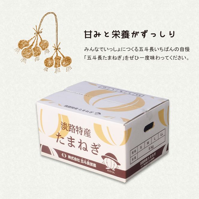 五斗長玉ねぎ 10kg　玉ねぎ
