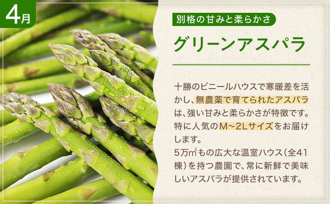 十勝幕別の定期便 お楽しみコース年6回お届け 加工食品 乳製品 チーズ 野菜 とうもろこし じゃがいも 
