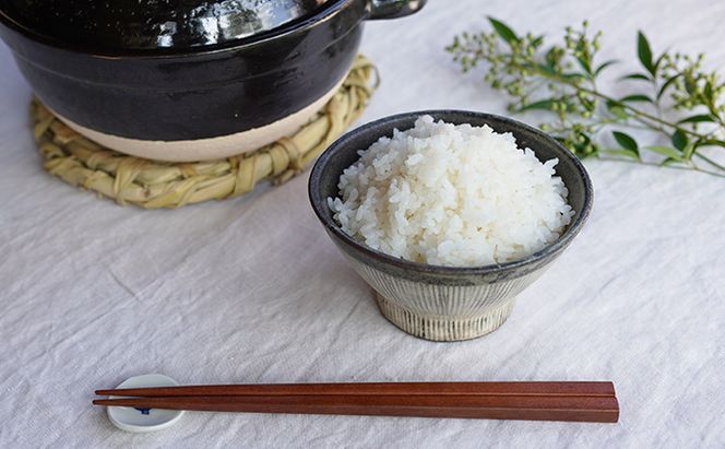 令和7年度産　米 ひとしずく 5kg 美山産 コシヒカリ 農薬不使用 白米 精米 コメ こめ お米 栽培期間中農薬不使用 単一原料米 5 キロ ご飯 ごはん 安心 安全 こしひかり 京都 