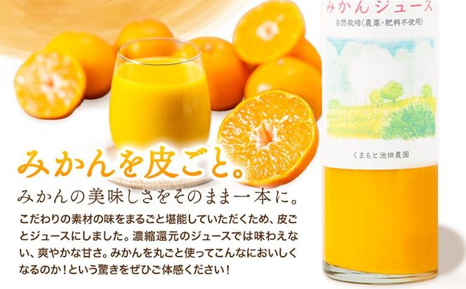 池田農園のみかんジュース 2本 または 3本 1本500ml 池田農園《30日以内に出荷予定(土日祝除く)》熊本県 玉名郡 玉東町 みかんジュース みかん ミカン ジュース 自然栽培 栽培期間中農薬・肥料不使用---gkt_ikd_2_2h---