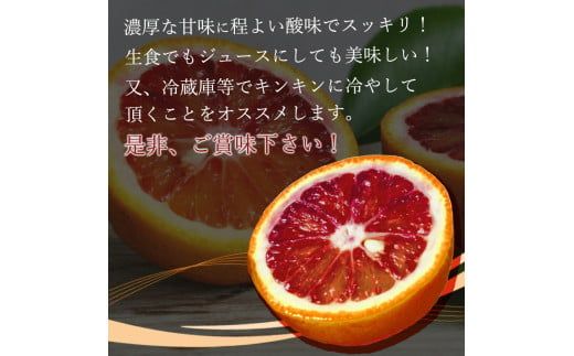 希少な 柑橘 ! 紀州 有田産 ブラッド オレンジ 5kg 【ご家庭用】 / 果物 和歌山 ※2027年3月上旬～3月下旬頃順次発送予定 (お届け日指定不可)  ※離島への配送不可 【uot853】