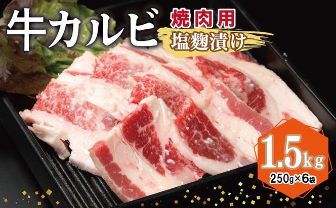 y{򍲖szG3363 Jr ēp Ђ v1.5kgyt  Ă ȒP BBQ  250g×6܁z
