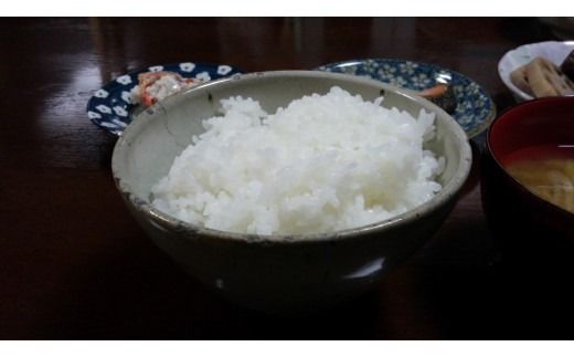 【新米受付・令和8年産米】【6ヶ月定期便】食味鑑定士板垣謹製 新潟県村上市岩船産 特別栽培 新之助 5kg×6ヶ月 1039054N ｜ 連続 毎月 お届け 新耕農産 一等米 プレミアム米 農家直送 低温倉庫保管
