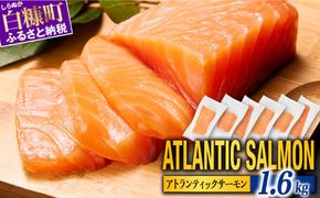 【TOWA SALMON】※2026年5月末までにお届け※アトランティック サーモン 1.6kg 鮭 サーモン さけ シャケ しゃけ sake カルパッチョ ソテー レアステーキ 人気 高級 大満足 美味しい 贈答 生食用 刺身 お刺身 刺し身 魚介類 海鮮 冷凍 厚切り 薄切り ふるさと納税 北海道 白糠町