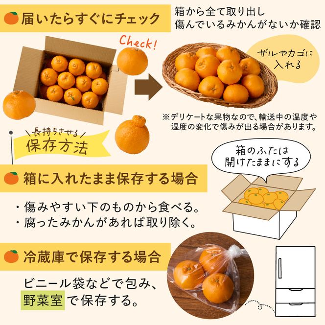 むなかた温州みかん 3kg 【2026年10月下旬～12月発送】【JAほたるの里】_HA1346