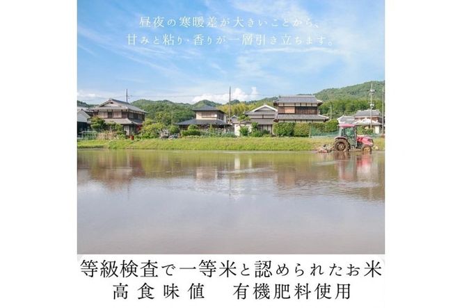 令和6年産 新米 京都府産 キヌヒカリ 白米 20kg ｜ 米 お米 コメ 白米 精米したて ごはん ご飯 京都丹波米 ※北海道・沖縄・離島への配送不可