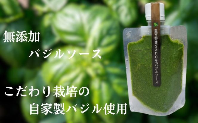 温室野菜 sano 生バジルソース２本セット 加工食品 ソース 