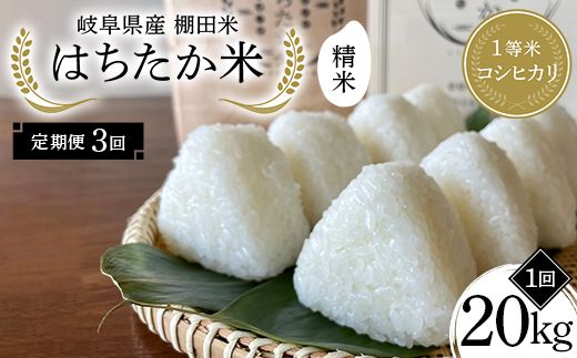 y򕌌Ðszy3ցz򕌌Y Ic 1ăRVqJ ͂ 20kgi10kg×2܁j F4N-2599