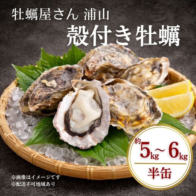 殻付き牡蠣 約5～6kg前後 半缶 【数量限定】2026年先行予約 加熱用