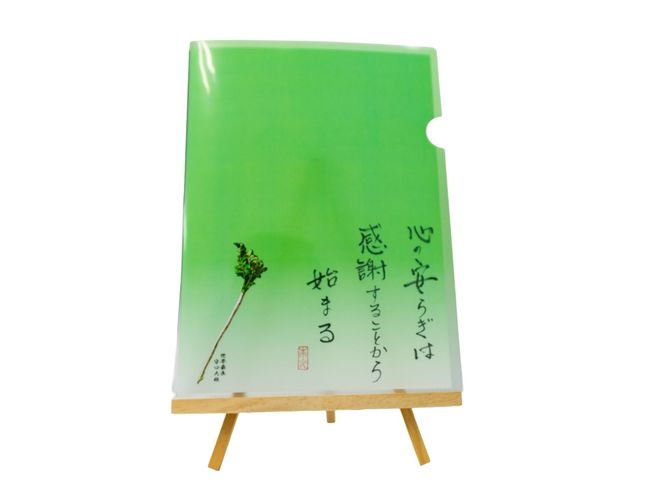 y{szI[PANAt@CA4yS̈炬͊ӂ邱Ƃn܂z[2450]