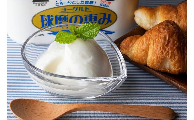 【amazon価格】ヨーグルト もっちり、とろ～りの2つに食感！　球磨の恵みヨーグルト ( 加糖タイプ ) 3kg 【配送不可：沖縄県、離島】