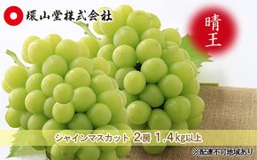 ぶどう 2026年 先行予約 シャイン マスカット 晴王 2房 合計1.4kg以上 マスカット ブドウ 葡萄  岡山県産 国産 フルーツ 果物 ギフト 環山堂