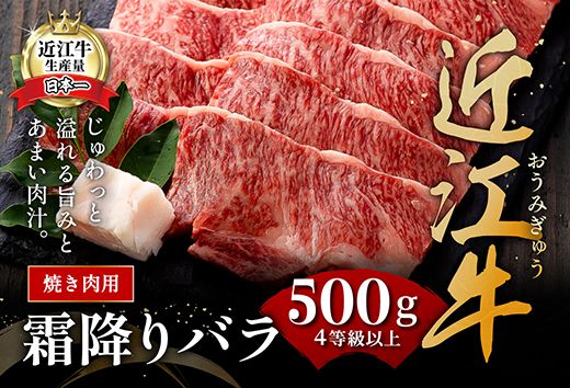 【4等級以上】極上近江牛焼肉用（バラ）【500g】【AG06W】