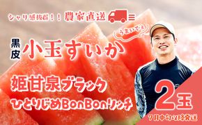 【 先行予約 2026年7月中旬以降発送 】八千代町産 黒皮 小玉スイカ 姫甘泉ブラック ひとりじめBonBonリッチ 1箱（2玉入） 黒皮 すいか 西瓜 [SF004ya]