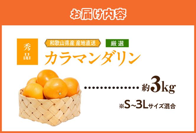 【2027年先行予約】和歌山県産 カラマンダリン 約3kg 秀品_ZE6500