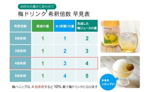 希釈用梅ドリンク　梅ハニップ　12本セット【prm014B】
