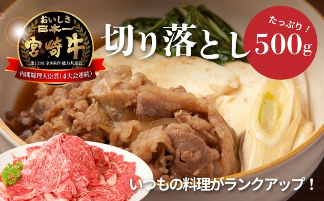 �y�{�茧�؏钬�z���{�苍�@�a���@�؂藎�Ƃ�500g�� K01_0009_1