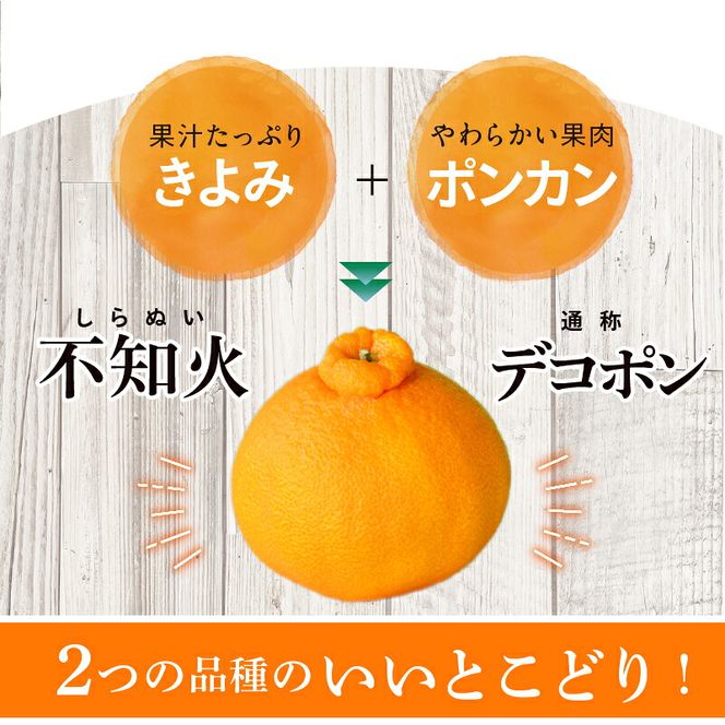 【2027年先行予約】「デコ」 不知火 約4.5kg 湯浅町田村産 (果実サイズおまかせ) 春みかん　紀伊国屋文左衛門本舗_V7076
