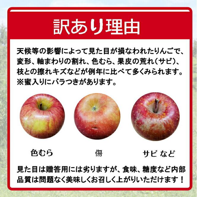 滝田りんご訳ありサンふじ３㎏（8～10玉） 【532】