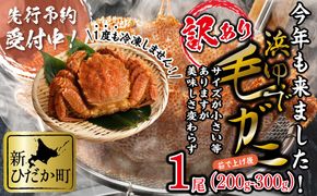 ＜ 2027年2月上旬より発送開始 ＞ 訳あり 北海道産 浜ゆで 毛ガニ 1尾 ( 200g ～ 300g ) 毛蟹 毛がに かに味噌 カニ味噌 ＜ 予約受付 ＞