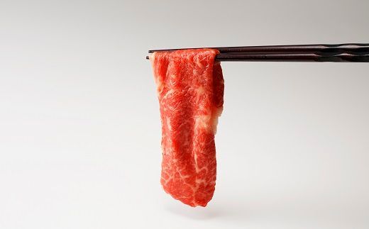 【3-1】松阪牛　すき焼き肉（モモ、バラ）600g