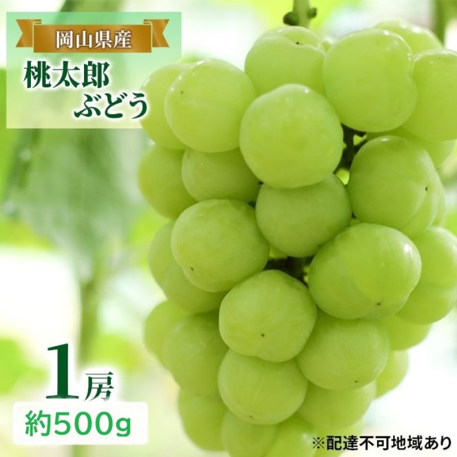 桃 ぶどう 2027年 先行予約 晴れの国 岡山のフルーツ 定期便 3回 コース 岡山 白桃3玉 合計約600g 桃太郎ぶどう 1房約500g シャインマスカット 1房約500g
