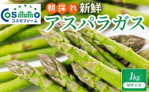 朝採り新鮮アスパラガス 1kg【Mサイズ】 | 野菜 アスパラガス グリーンアスパラ 旬 とれたて 春野菜 春 朝採り 朝採れ とれたて 新鮮 みずみずしい サラダ 甘い お取り寄せ 産地直送 冷蔵 岐阜県 瑞穂市