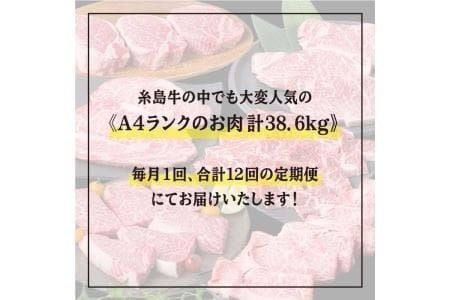 【全12回定期便】A4ランク 糸島 黒毛和牛 プレミアム セット 福岡県産 《糸島》 【糸島ミートデリ工房】 [ACA076] すき焼き 定期便 切り落とし しゃぶしゃぶ ステーキ 焼肉 赤身 黒毛和牛 国産