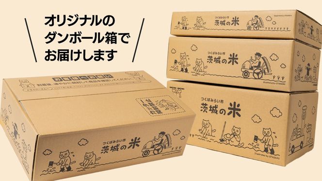 品種おまかせ 5kg 令和7年産米 茨城県つくばみらい市産 精米 こしひかり コシヒカリ あきたこまち ひとめぼれ ふくまる ゆめひたち ミルキークイーン にじのきらめき ほしじるし あきだわら 米 コメ こめ 単一米 限定 茨城県産 国産 美味しい お米 おこめ おコメ