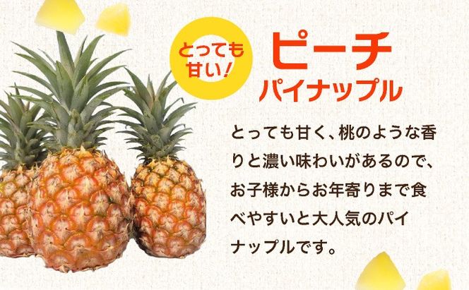 訳アリ 業務用冷凍カットパイナップル500g×3点セット PU-02