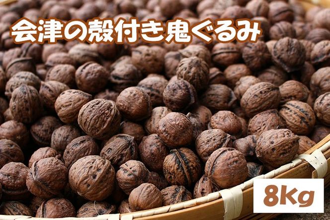 殻つき 会津の鬼ぐるみ8kg