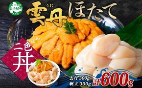 3341. 雲丹 300g ホタテ 300g 海鮮2種セット ウニ チリ産 冷凍 うに ミョウバン不使用 ほたて 貝柱 生ほたて 刺身 帆立 冷凍 海鮮 海鮮丼 お刺身 つまみ おつまみ おかず ごはんのおとも 北海道 弟子屈町