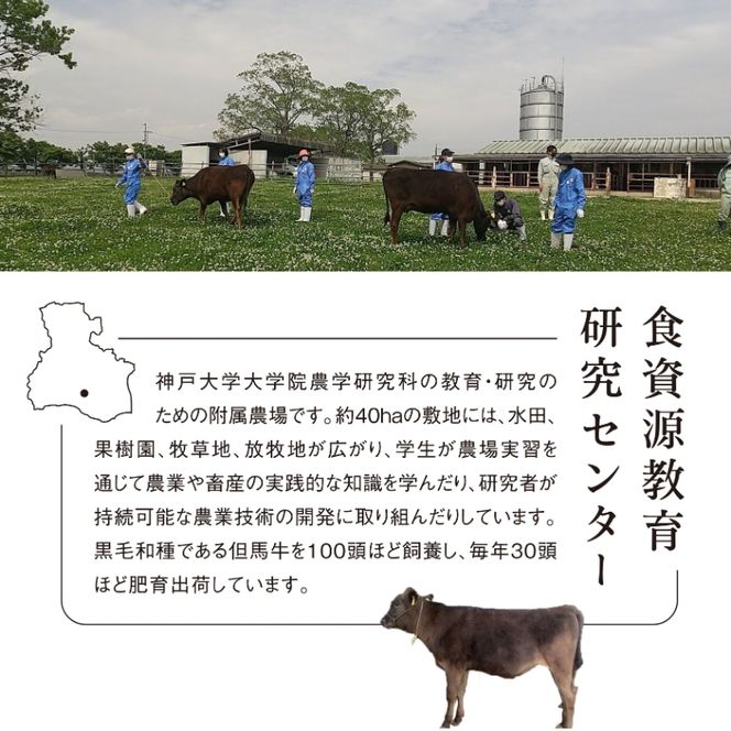 神戸牛 神戸大学ビーフ 希少部位 焼肉用 お試し 300g サンカクバラ カイノミ ササニク ハラミ 神戸ビーフ 牛肉 お肉 肉 焼き肉 アウトドア キャンプ BBQ ブランド牛 但馬牛