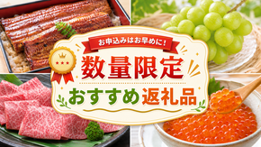 【数量限定】今しか申し込めない返礼品を厳選紹介！