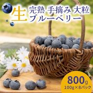 【先行受付予約】知多半島 生ブルーベリー 800g（100g×8パック） 完熟 果物 フルーツ 旬 農園直送 青果物 国産 健康 美容 愛知県 美浜町 ブルーベリーの里みはま 産地直送 ※2026年6月上旬～8月中旬に順次発送予定 送料無料 数量限定 期間限定 ※北海道・沖縄・離島への配送不可