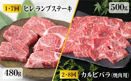 【全12回定期便】 糸島 黒毛和牛 食べ比べ セット 2人前 約 6 kg【月1回】 《糸島》 【糸島ミートデリ工房】 [ACA111] ランプ シャトーブリアン サーロイン ランキング 上位 人気 おすすめ