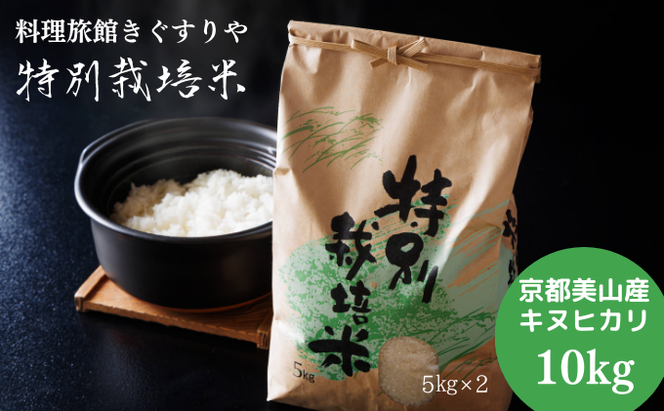 【令和6年度】 料理旅館きぐすりや 特別栽培米 キヌヒカリ 10kg 精米 白米 お米 こめ コメ 減農薬栽培 10キロ 5kg×2 ご飯 ごはん 京都　※9月下旬より順次発送 