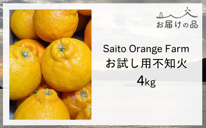 【先行予約】【お試し！】Saito Orange Farmの不知火4kg（2026年2月下旬頃より順次発送） IKTAQ014