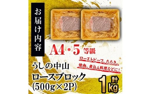 ロースブロック 計1kg(500g×2P) e5-002
